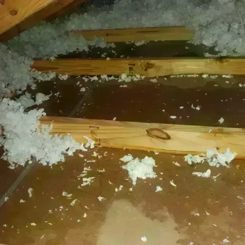 Attic Water Damage in Grayson County, TX